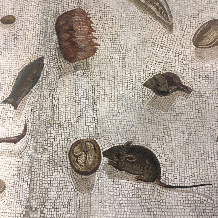 historical artifacts, detail from the unswept floor