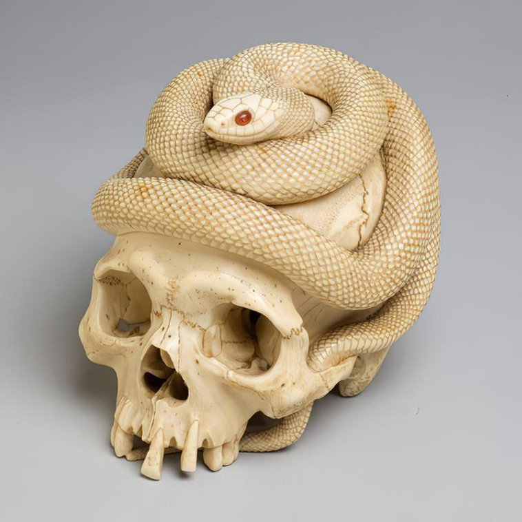 historical artifacts, Ivory carving of a skull and a snake with carnelian eyes from the Edo period in Japan, 1860.