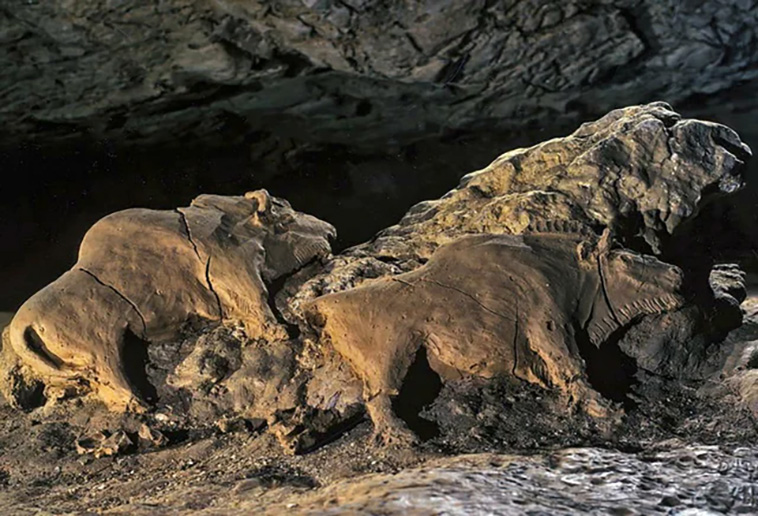 14 000-year-old bison sculptures discovered in Le Tuc d'Audoubert cave, Ariege, France.