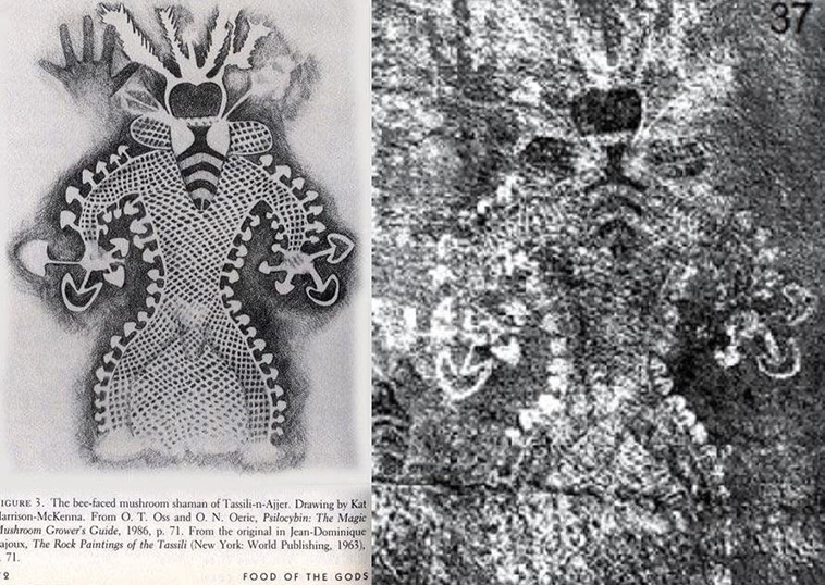 9000-year-old cave painting of a shaman during psychedelic mushroom use found in Tassili cave Algeria. 