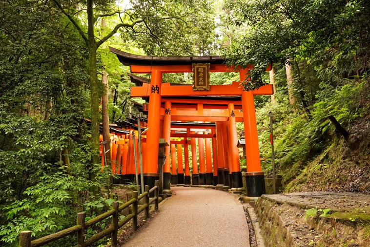 fushimi inari shrine, torii gates