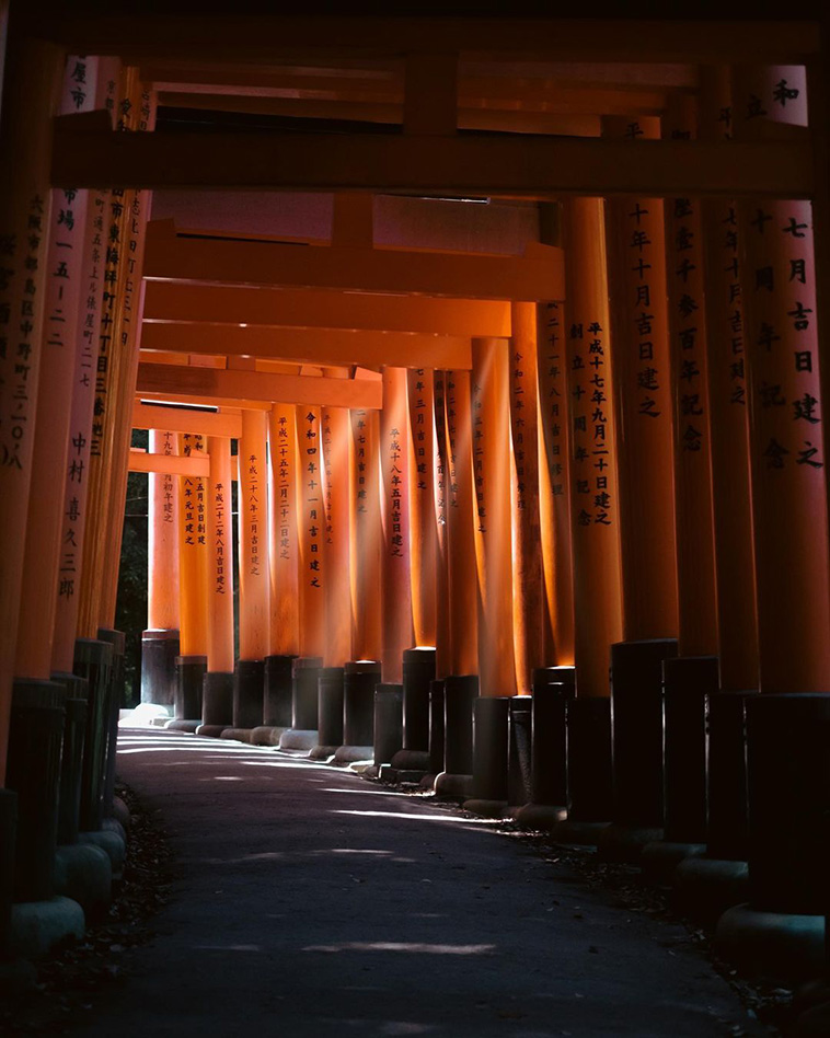 torii gates, fushimi inari shrine 