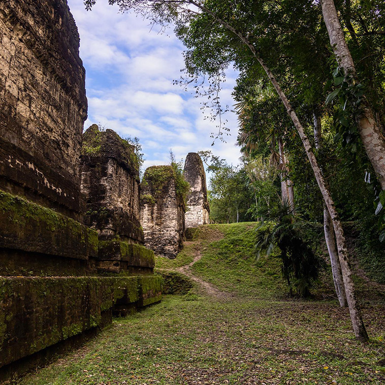 inside the mayan city