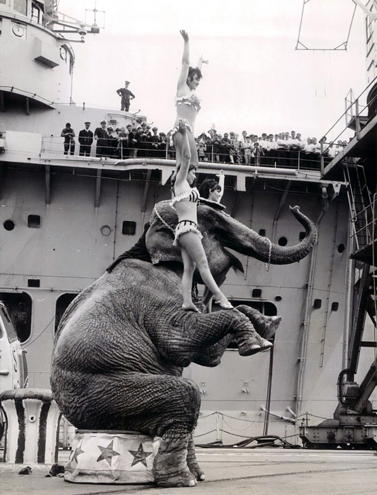 vintage circus photos