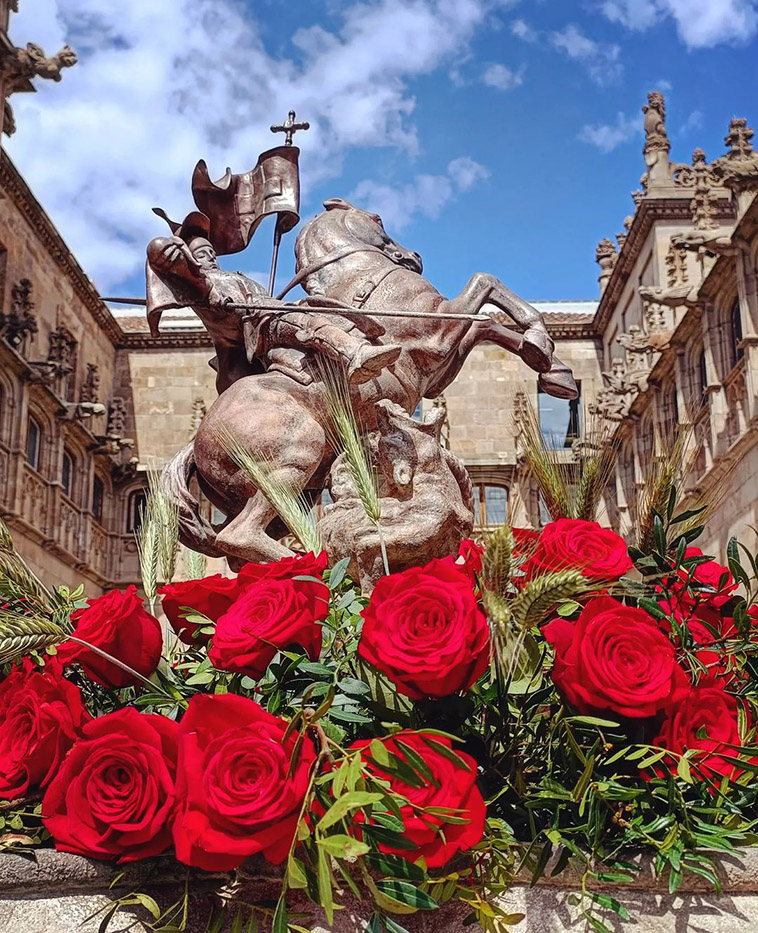 the city of dragons and festival roses