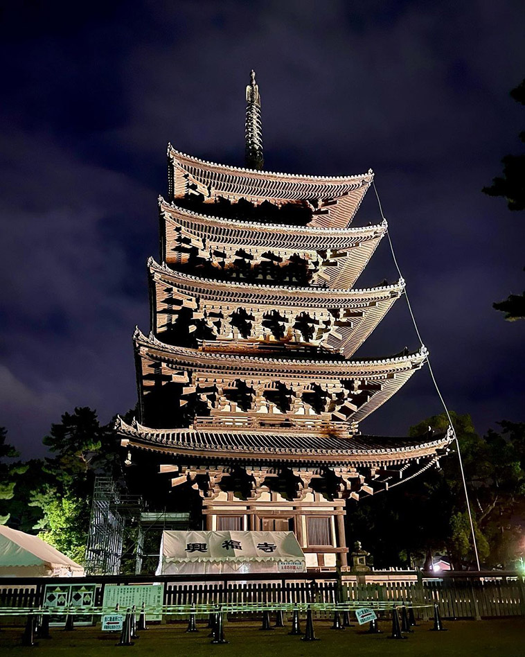 the pagoda during the night
