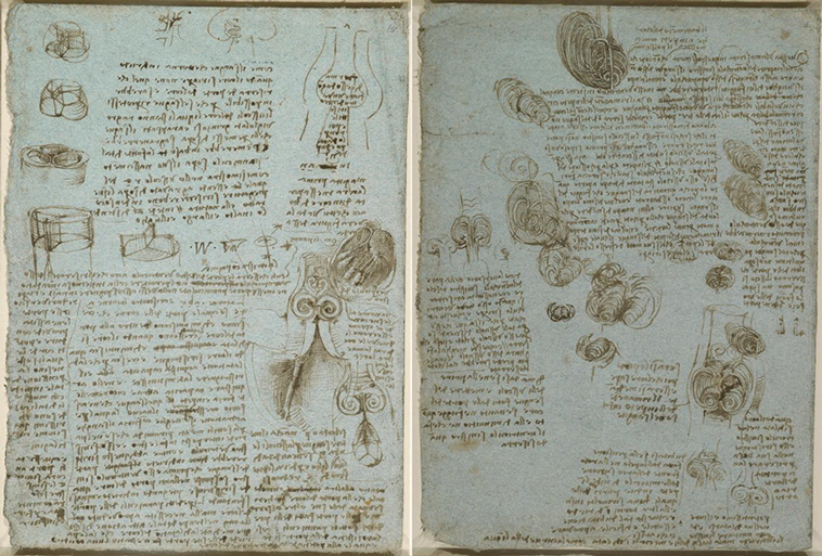 Leonardo da Vinci's drawings