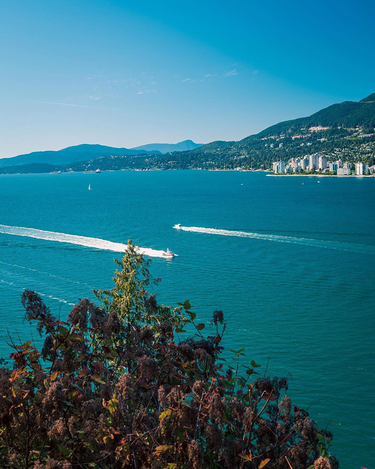 stanley park and boats