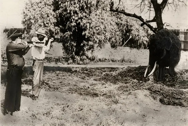 unique historical photos