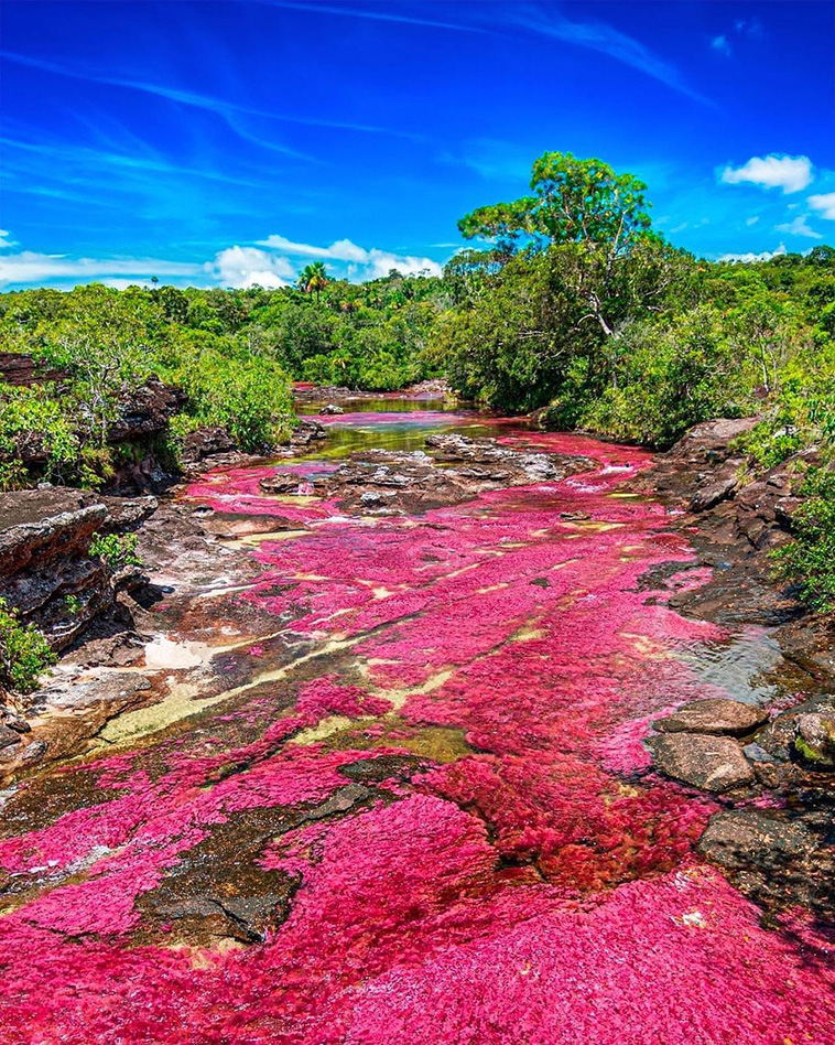 Caño Cristales- Rivers and Lakes in Different Colors