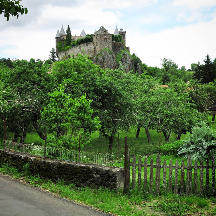 the castle and the fenced ground