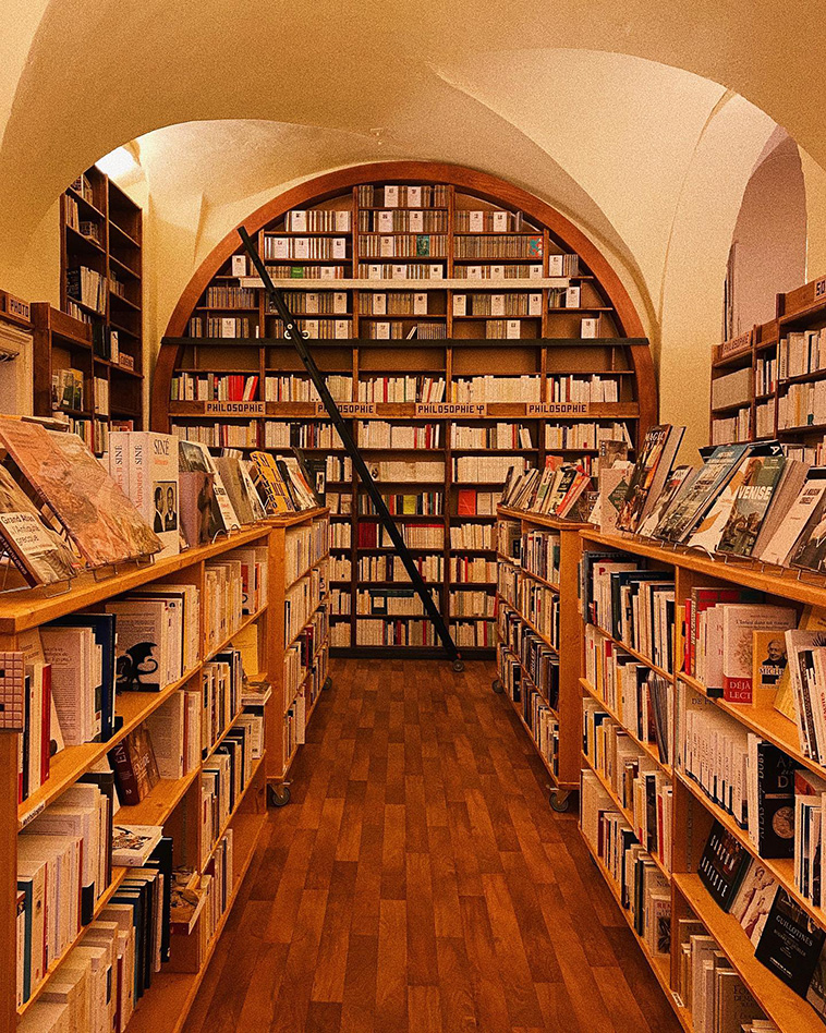 Le Bal des Ardents in Lyon, France