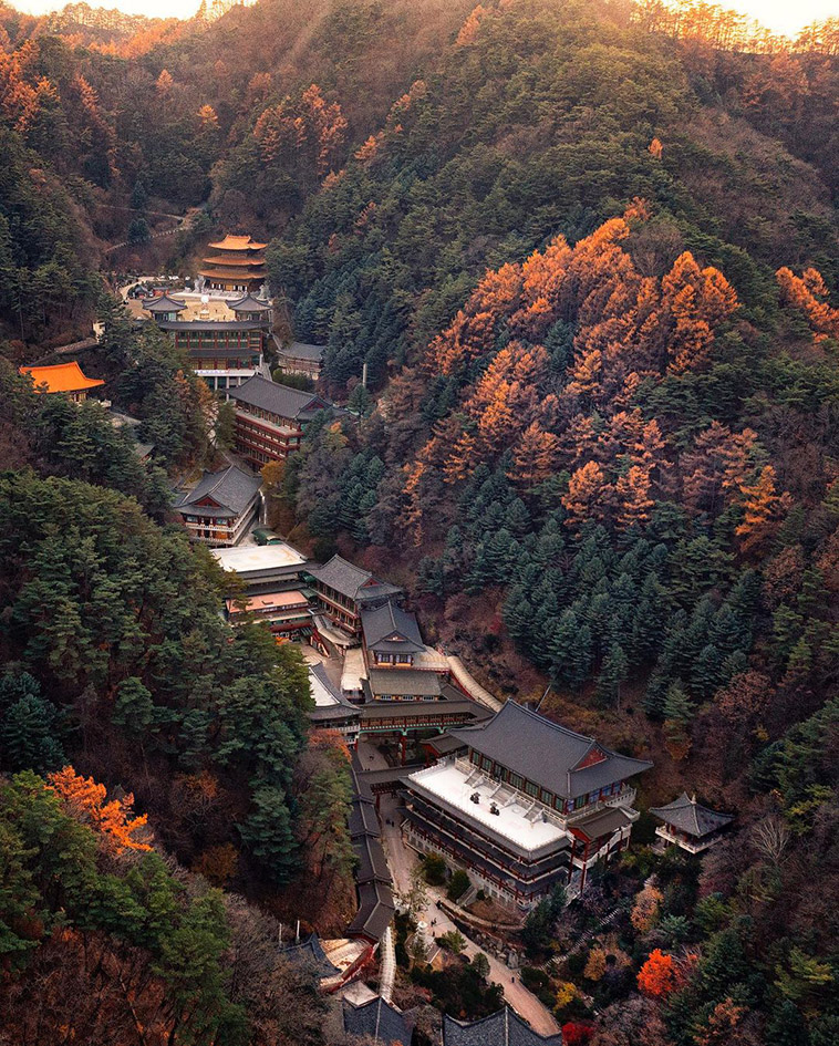the buildings surrounded by forest