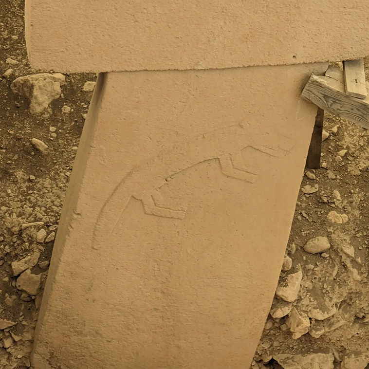 fox or wolf carving found in taş tepeler project