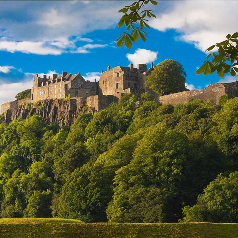 stirling castle and the forest below