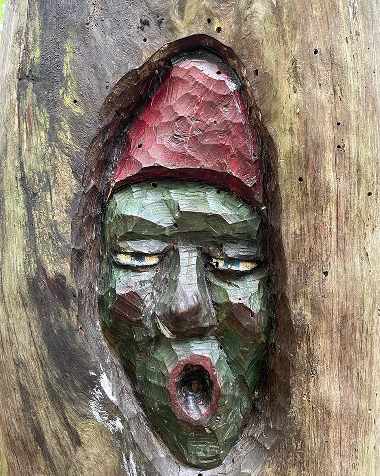 faces of the bingen forest