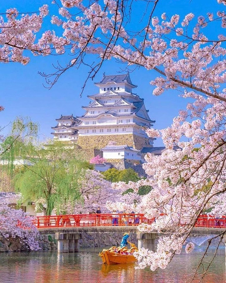 himeji castle and the trees