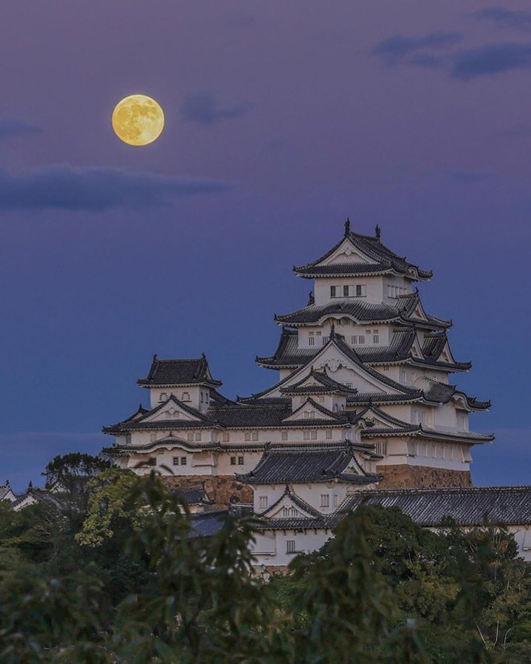 himeji castle and the moon