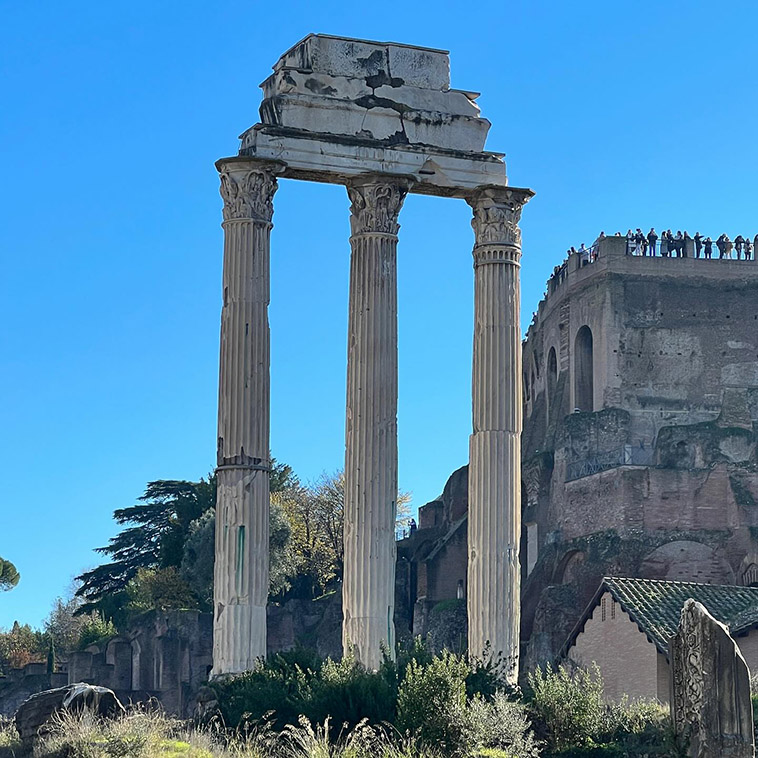 the columns in the forum