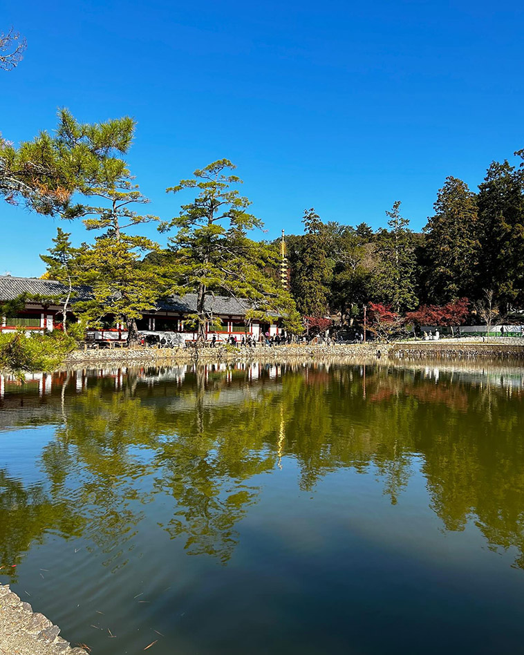 Todaiji Temple lake