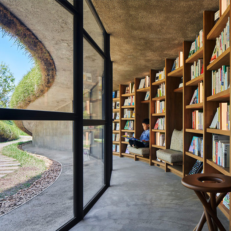Library in the Earth