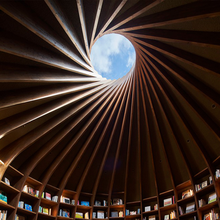 Library in the Earth