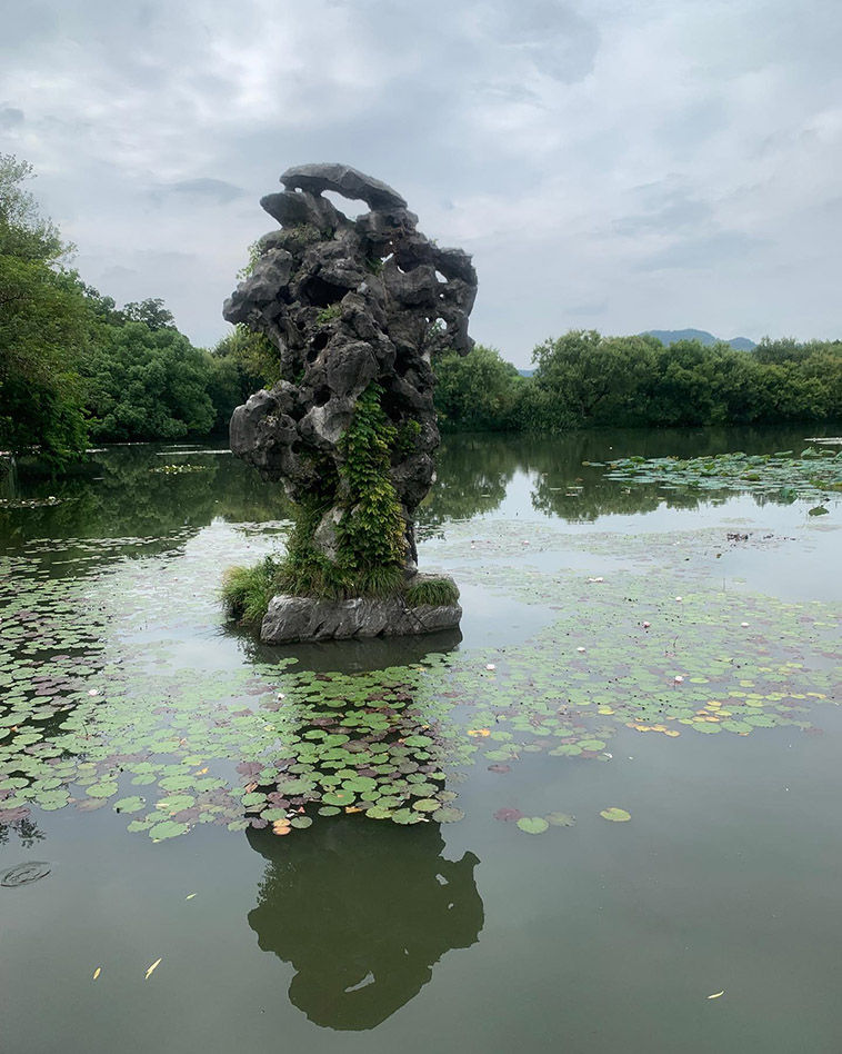 the lake at the park