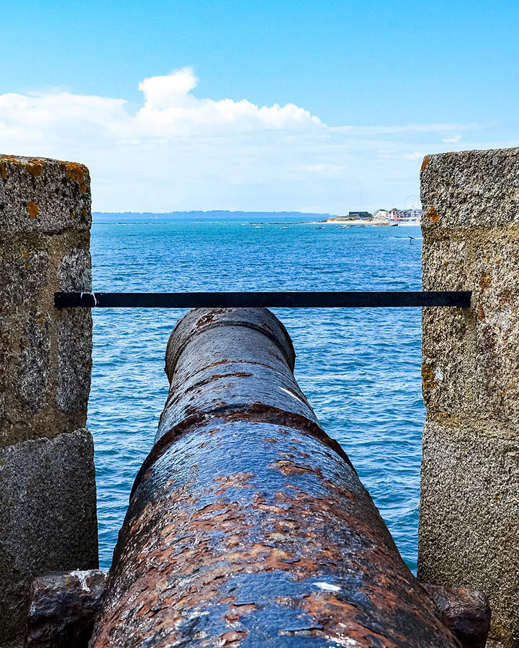 the fort cannon