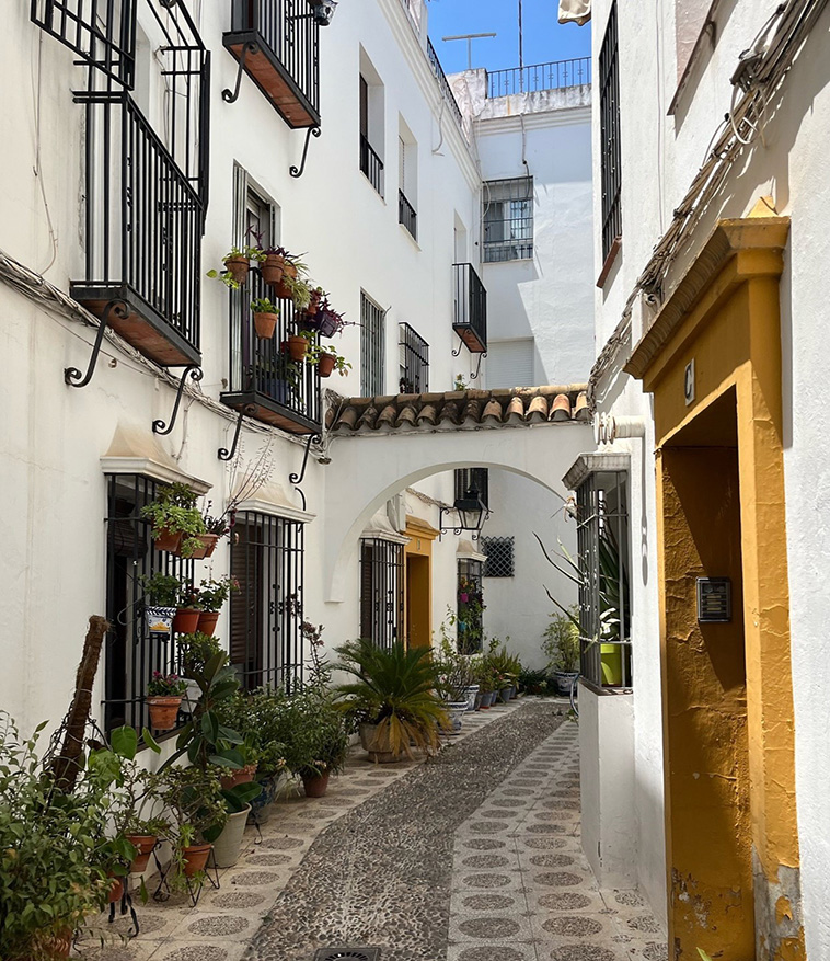 Andalusian Courtyard Houses in Cordoba, Spain