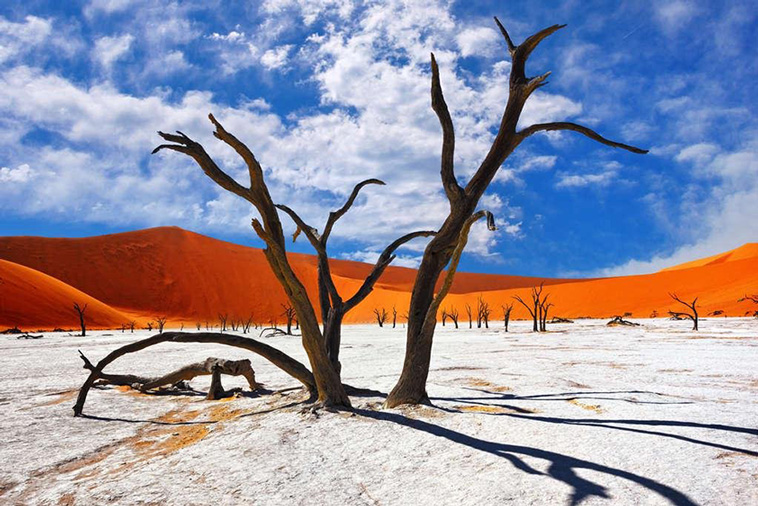 places on Earth