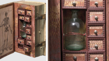 Assassin Cabinet book