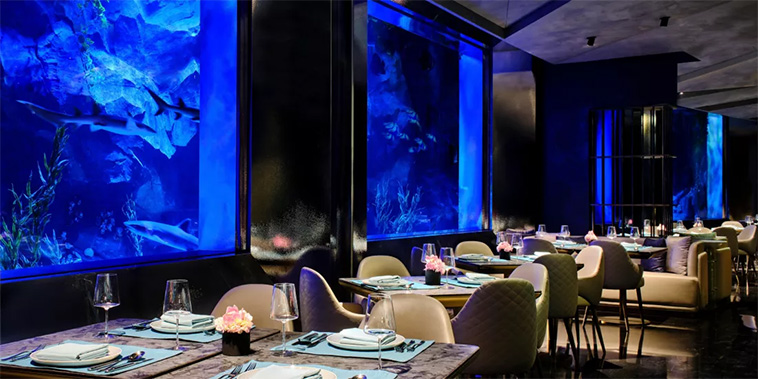Intercontinental Shanghai Wonderland